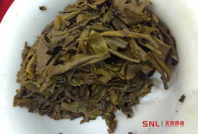 普洱茶怎么泡？大树普洱茶冲泡方法