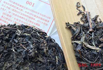 真正景迈古树普洱茶是怎样的？颠覆你对古树茶的认知！
