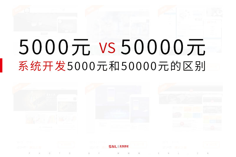 系统开发5000元和50000元方案的区别