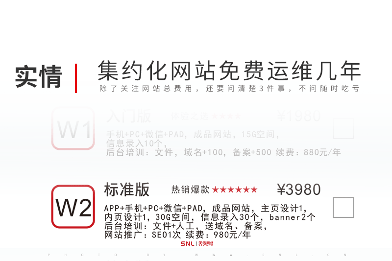 集约化网站设计免费运维一般是几年？