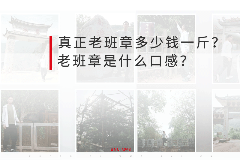 老班章多少钱 老班章口感