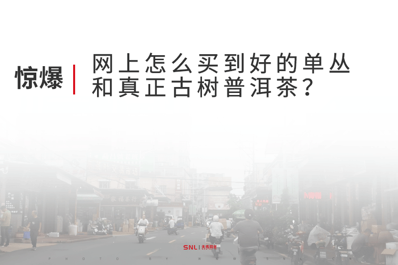 网上怎么买到好的单丛茶和普洱古树茶？电商运营公司告诉你真相！