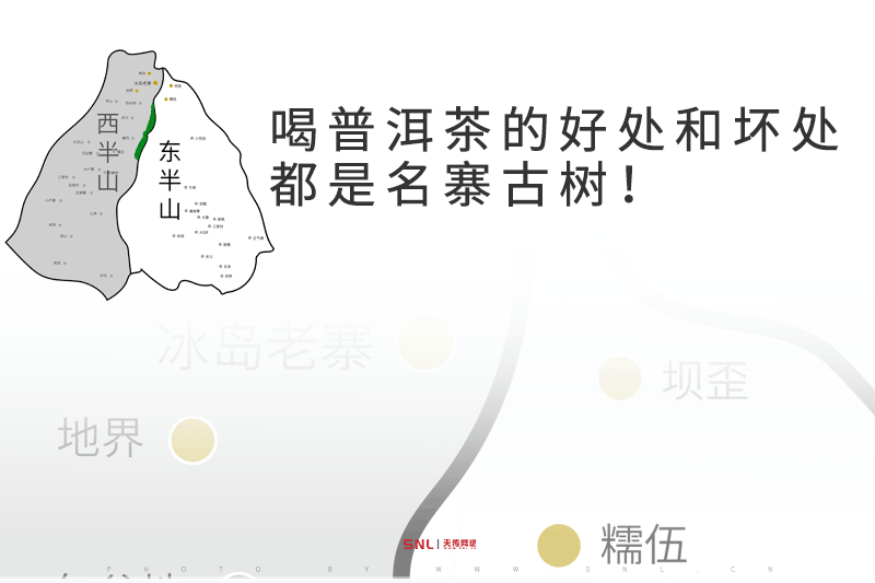 喝普洱茶的好处和坏处都是名寨古树！