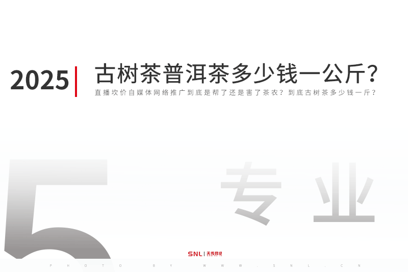 2025年云南古树茶普洱茶多少钱一公斤？直播坎价自媒体网络推广到底是帮了茶农还是害了茶农？