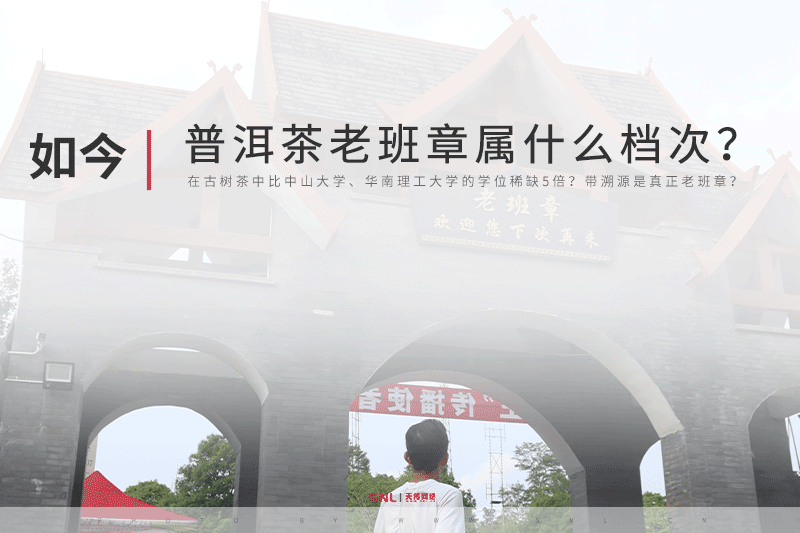 老班章属什么档次 老班章什么档次
