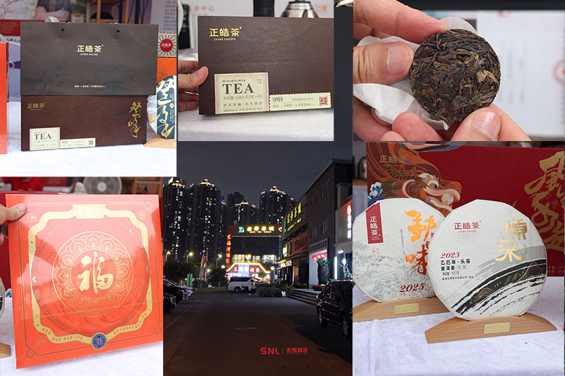 普洱茶 普洱茶