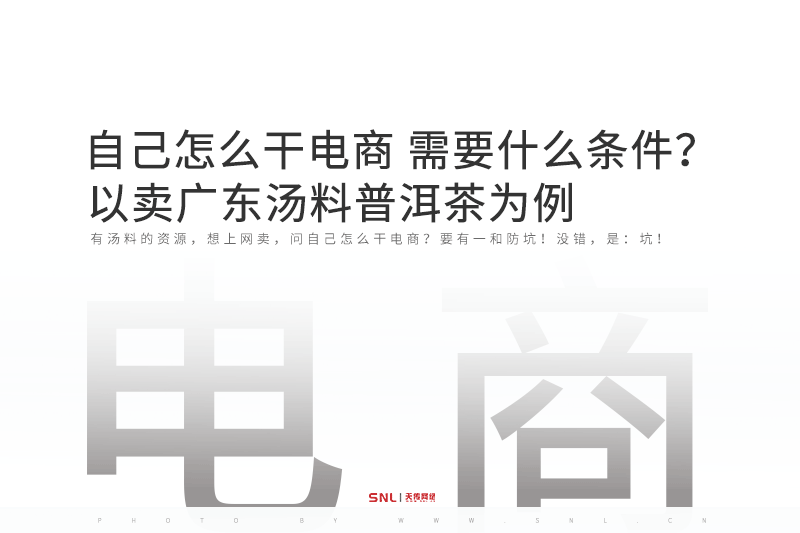 自己怎么干电商