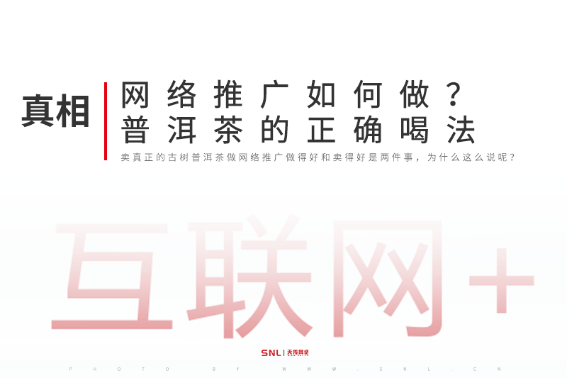 网络推广如何做之普洱茶的正确喝法