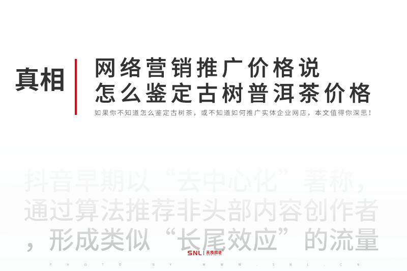 广州网络营销推广价格说怎么鉴定古树普洱茶饼价格