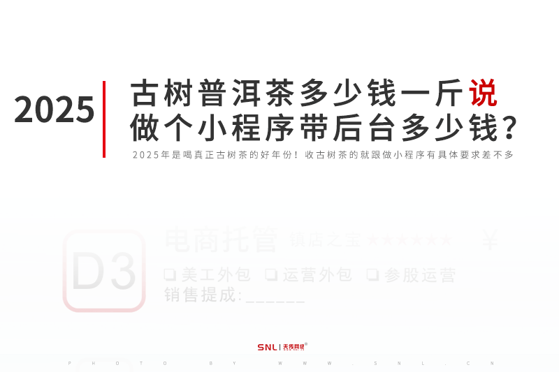 2025年古树茶普洱茶多少钱一斤说做一个小程序带后台多少钱？