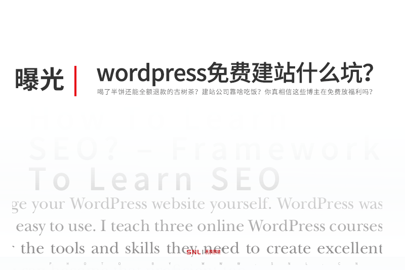 网站建设公司怎么赚钱：wordpress永久免费网站建设是什么？