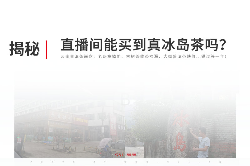 云南普洱茶视频号直播间能买到真冰岛茶吗？网络营销与直播电商