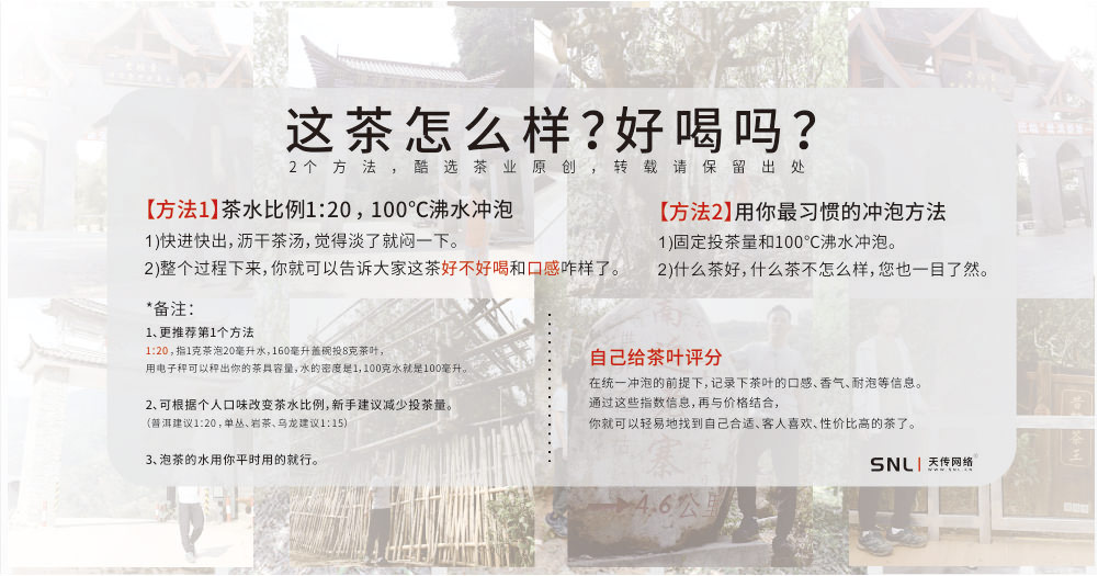 普洱茶怎么辨别真假 茶叶怎么辨别真假