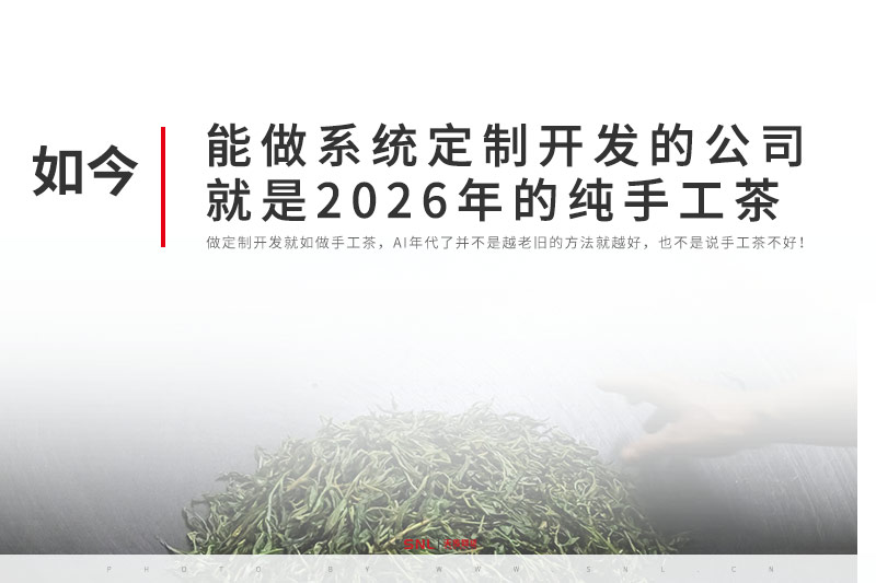 能做定制开发的网站建设公司就是2026年的纯手工茶