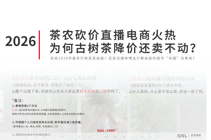 茶农砍价网络营销与直播电商火热为何云南普洱茶古树茶降价还卖不动？