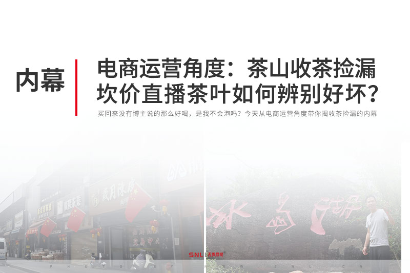 电商运营角度：茶山收茶捡漏坎价直播网购茶叶如何辨别好坏？