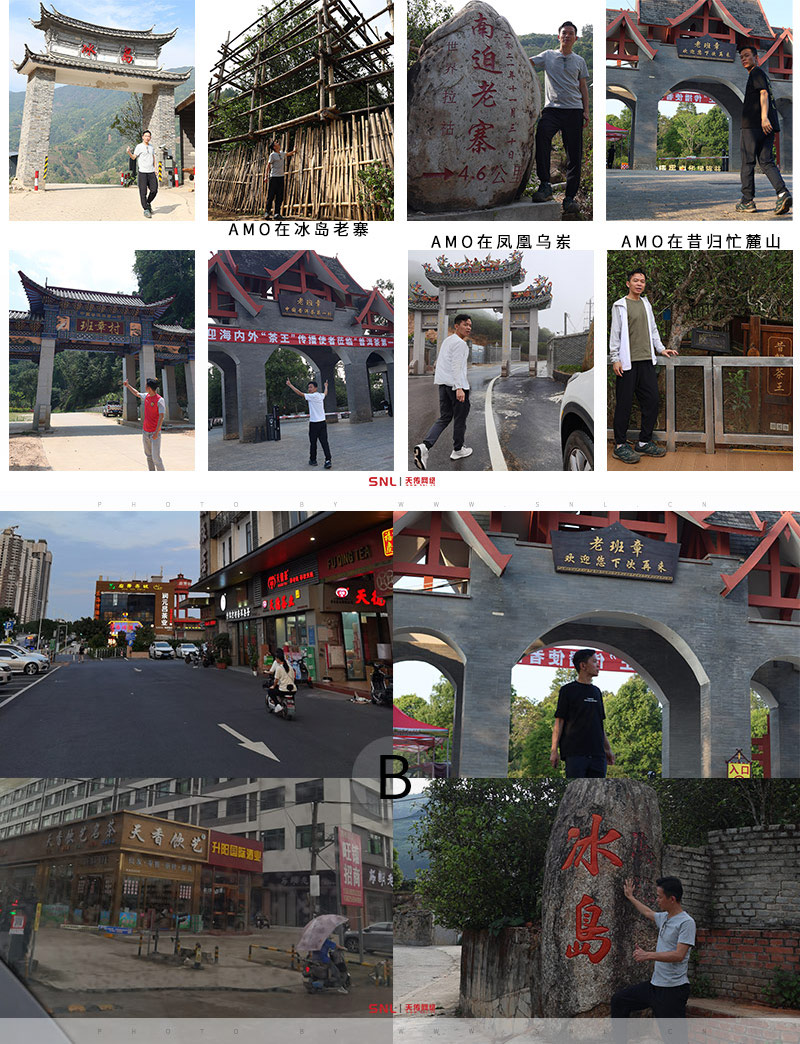 冰岛茶叶