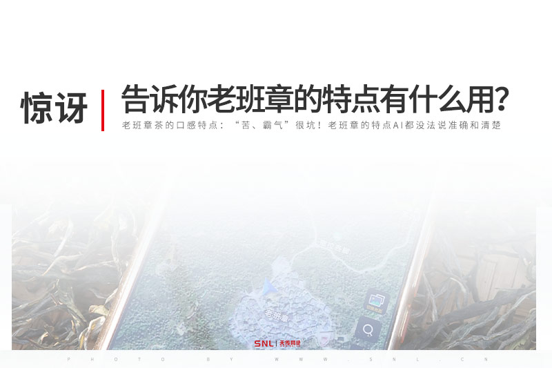 广州网络推广公司告诉你老班章的特点有什么用？