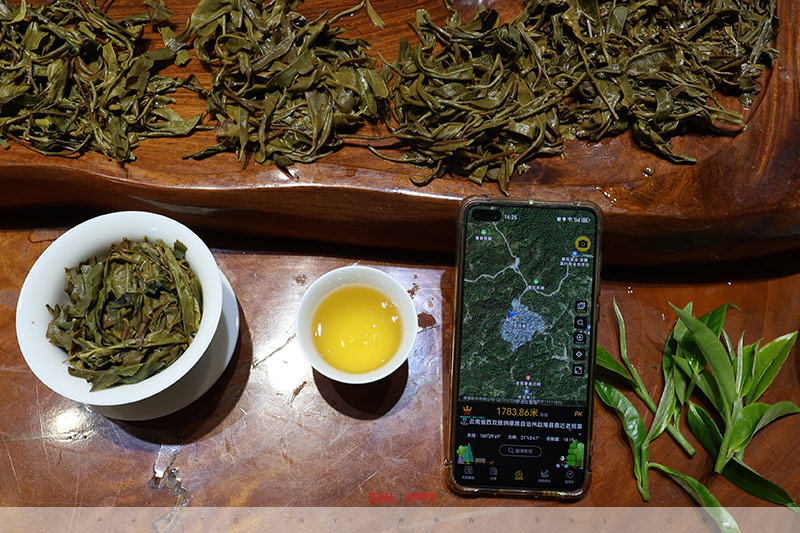 老班章口感特点